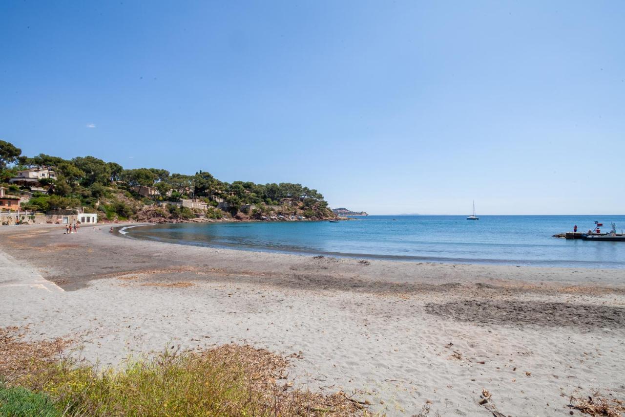 T2 - La Seyne Sur Mer - Fabregas Exteriér fotografie