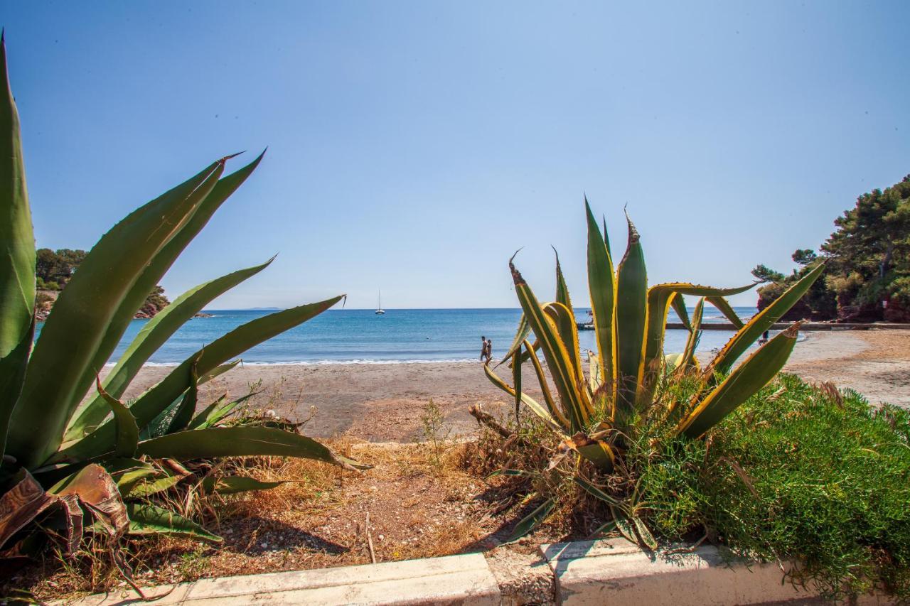 T2 - La Seyne Sur Mer - Fabregas Exteriér fotografie